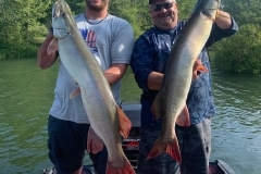 William Jordan (left), Olive Hill, KY, and Steve Phillips of Grahn, KY, with a 43- and 42-inch "double" to top off an eight-fish day on Cave Run Lake, KY.